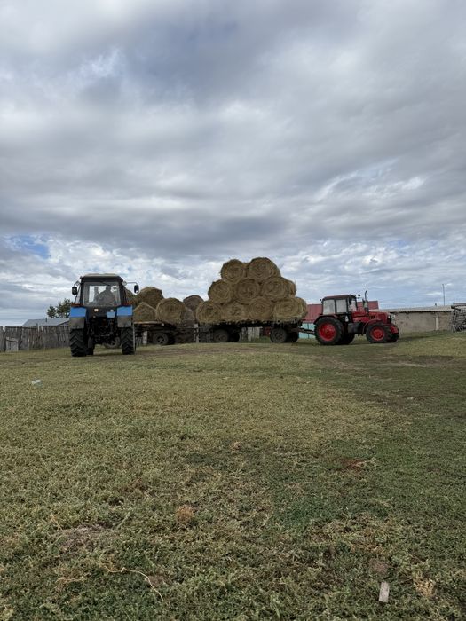 Продам сена в рулонах