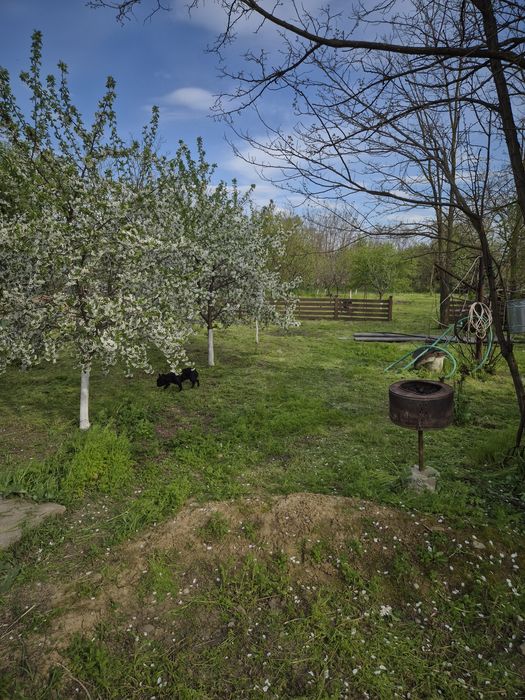 Casa de vanzare Alexeni Ialomita