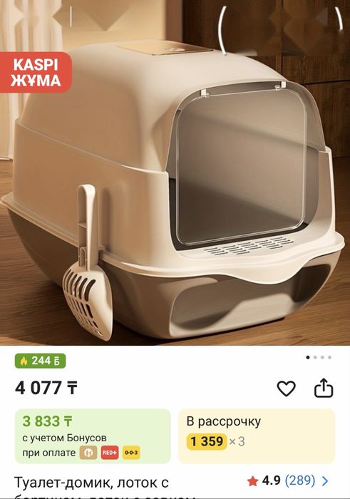 Продам пародистого котенка
