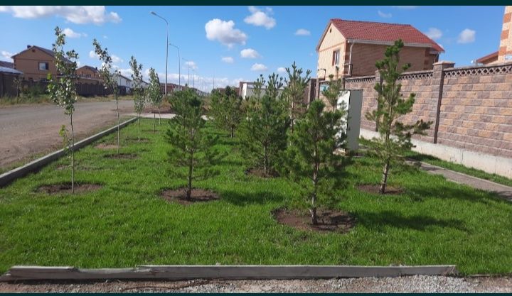 Благоустройство и Озеленение