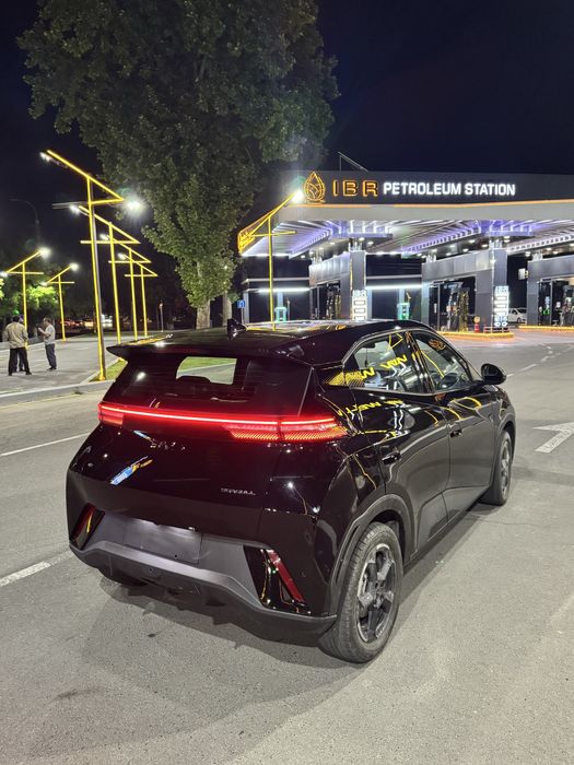 BYD Seagull 2024 — 2