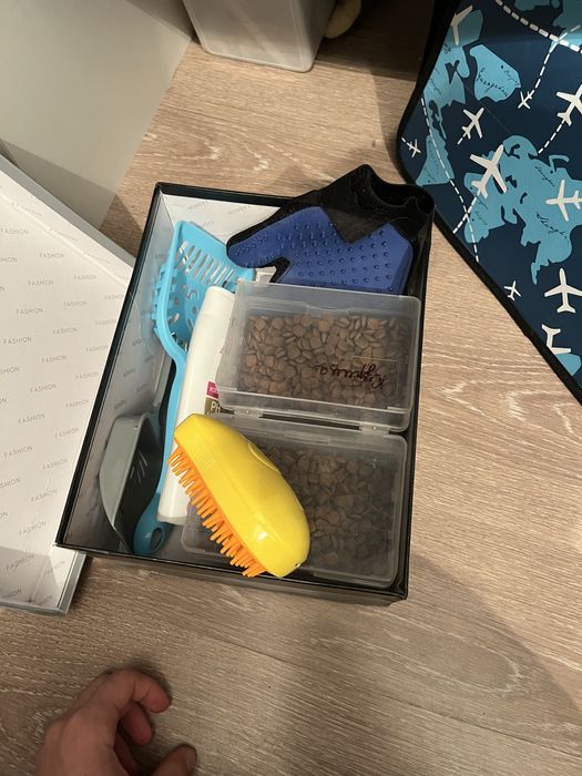 Кот со всеми принадлежностями