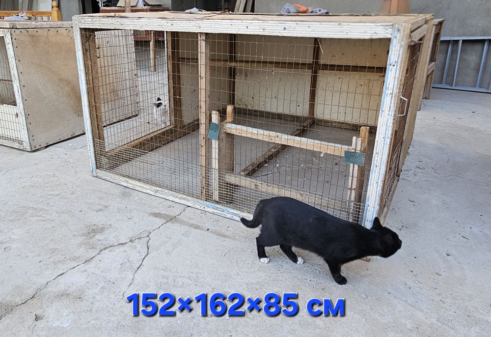 Товуқ ва қуён катаклар сотилади.