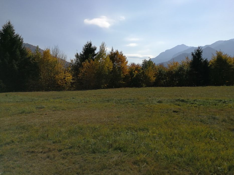 Teren intravilan Rasnov Gajarie 2800 mp-vedere muntii Bucegi si Piatra Craiului