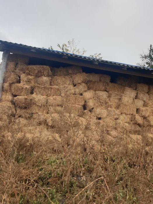 Vând baloti se lucerna a 2 si a 3 coasa