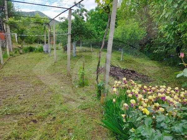 Продава се Къща в с. Сърнегор, Област Пловдив - 50 кв.м за 560 €/кв.м - Снимка #3