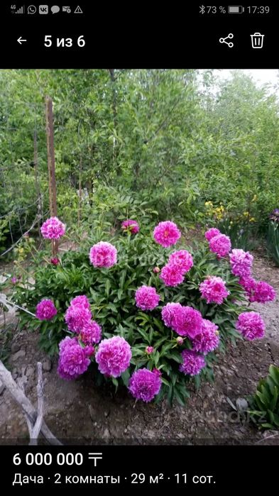 Дача 2 комнаты пмк 29