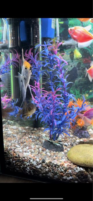 Продам аквариум