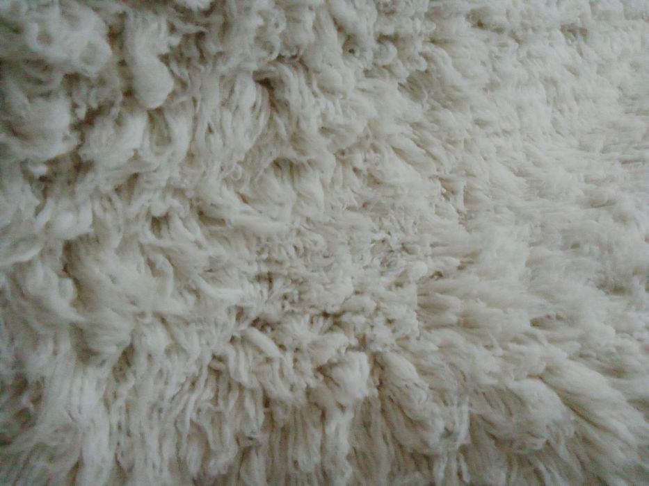 Родопски китеник/губер