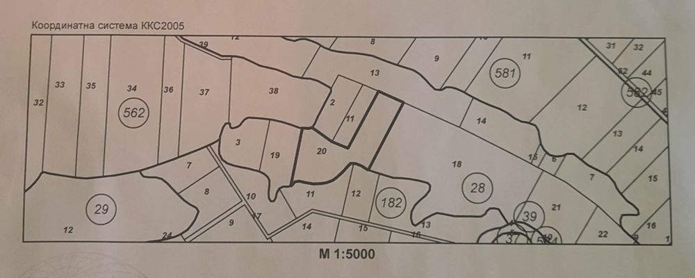 Гора 11 дек и 4 дек ливада обл Монтана