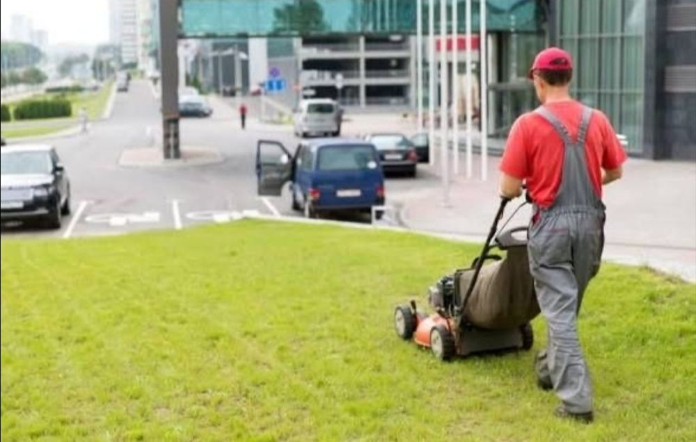 Tuns iarba și întreținere grădină – servicii complete !
