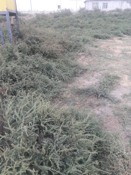 Участок 20 соток