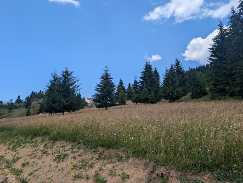 Teren de vânzare  Tihuta, 750mp  lângă Castel Dracula