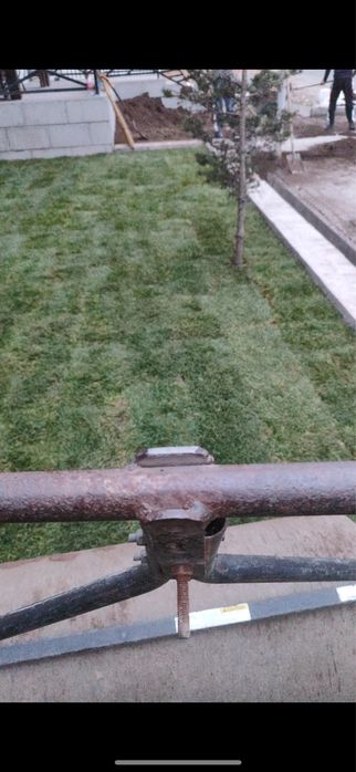 Стелим газон с нуля