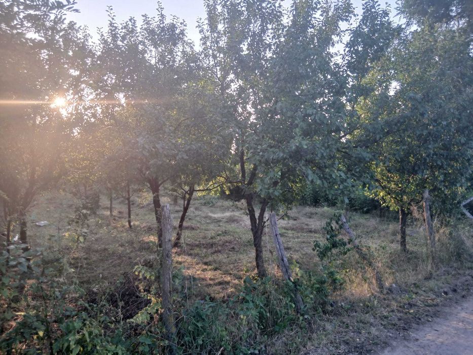 Teren intravilan, Gura Vitioarei, 908 mp