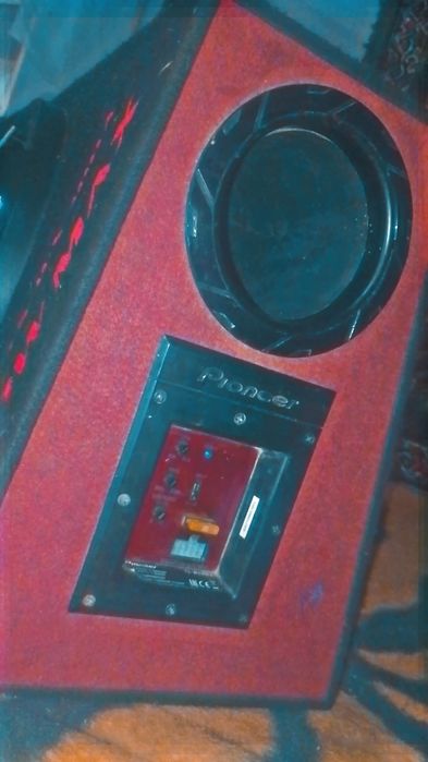 Subwoofer auto Pioneer TS-WX300A 1300W