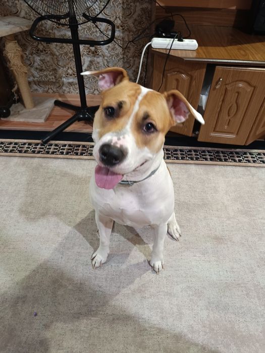 Ищем кабеля для вязки