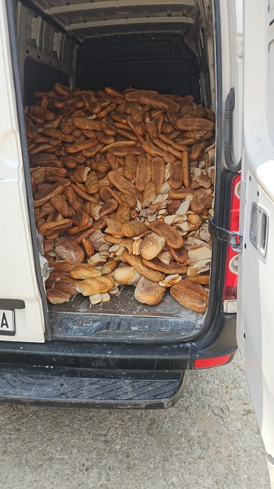 Pâine Rebut de Calitate pentru Animale