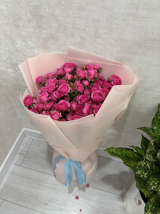 Роза гулдер сатылады