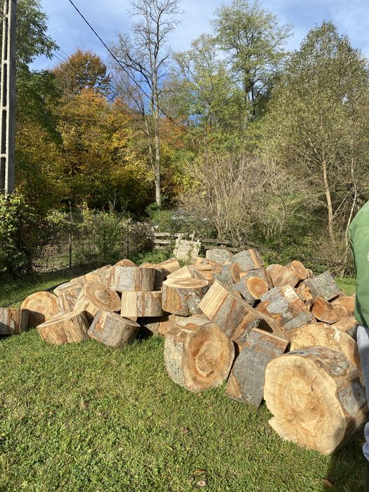 Lemn de foc - fag esența tare, taiate si crepate la cerere