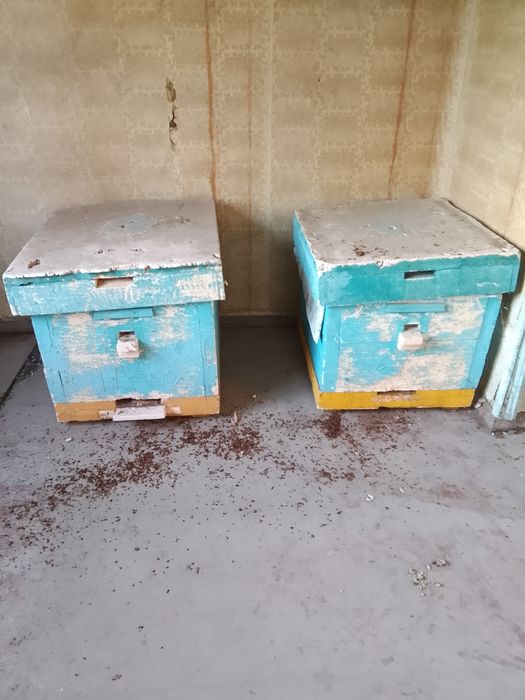 Продам ули с рамками