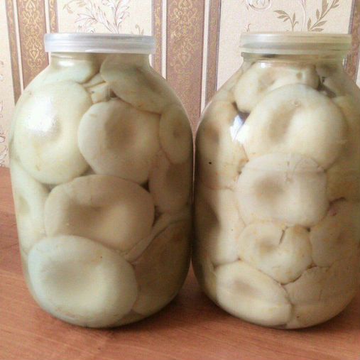 Продам грузди соленые