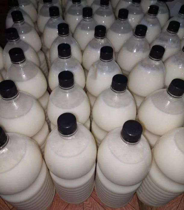 Қымыз, шұбат, т.б