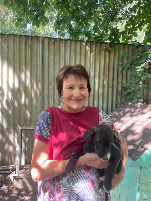 Замечательные щеночки