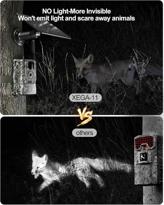 Автономен 4G Фотокапан за хранилки и ловни стопанства