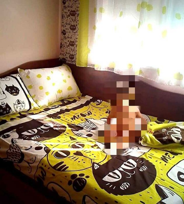 Детски пердета котки