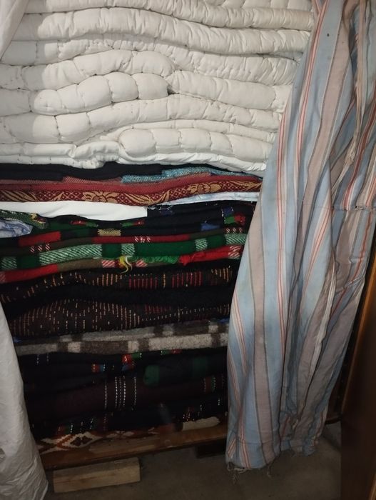 Родопски китеници