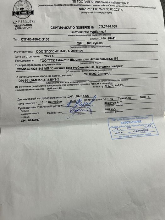 Счетчик газа Стг 80 160-2