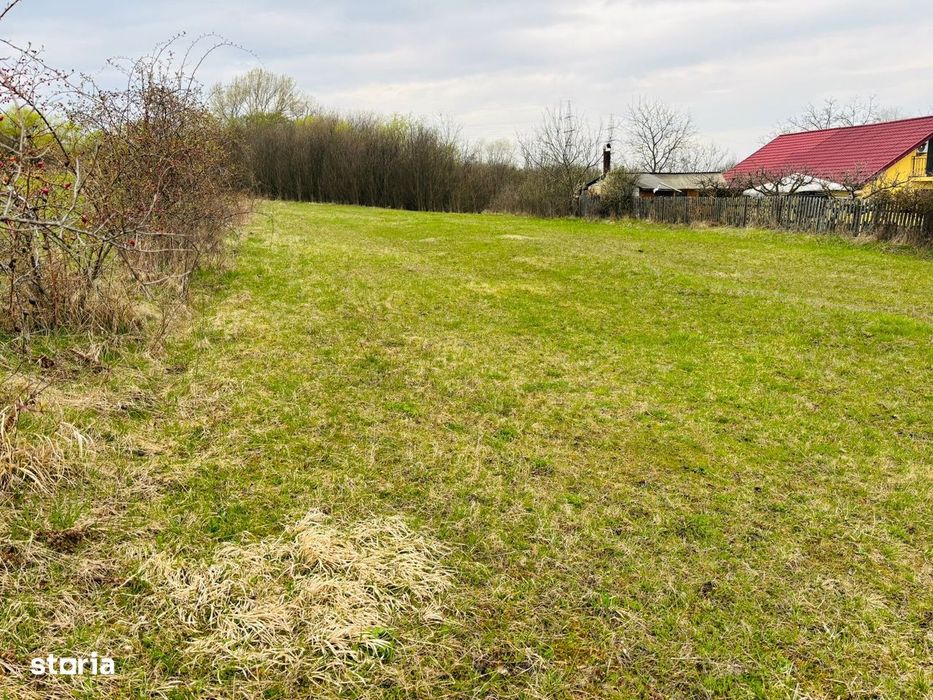 Teren intravilan Nicolae Corches