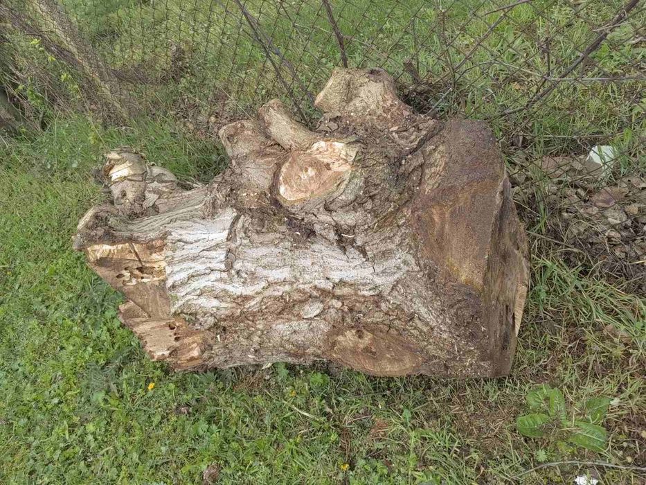 Дървен материал орех