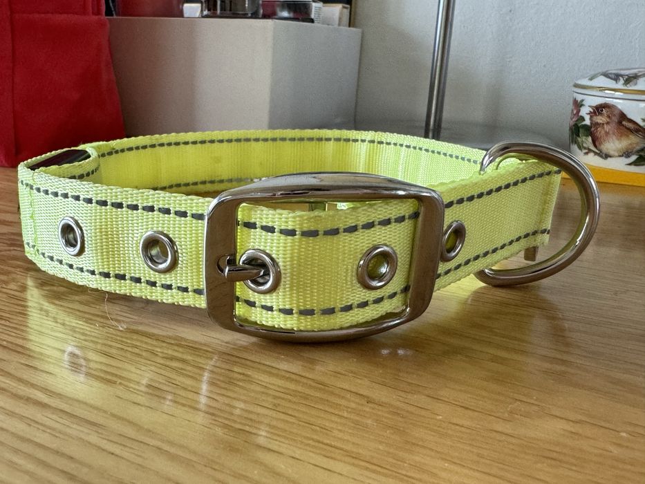 Zgarda cu LED pt caine