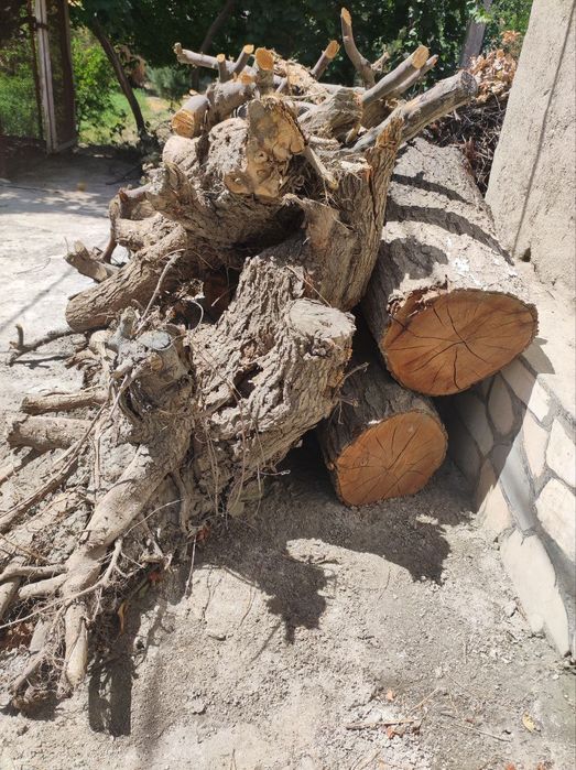 O'tin va kundalar sotiladi. Bir moshin bor