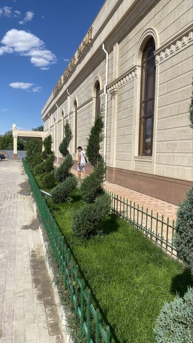 Газон Авто полив