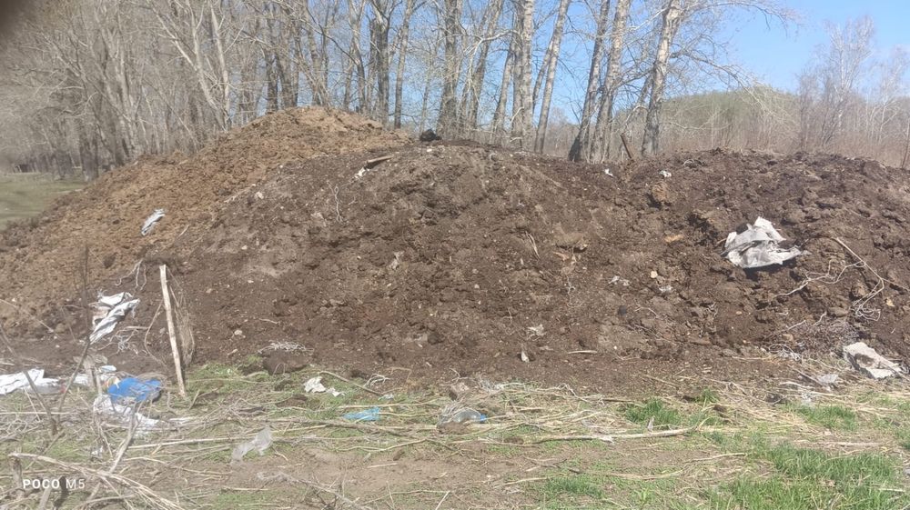 Навоз Бесплатно