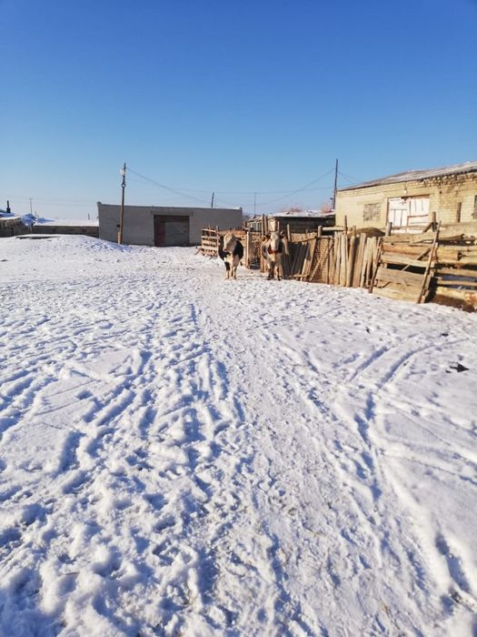 Продам фермерское хозяйство.