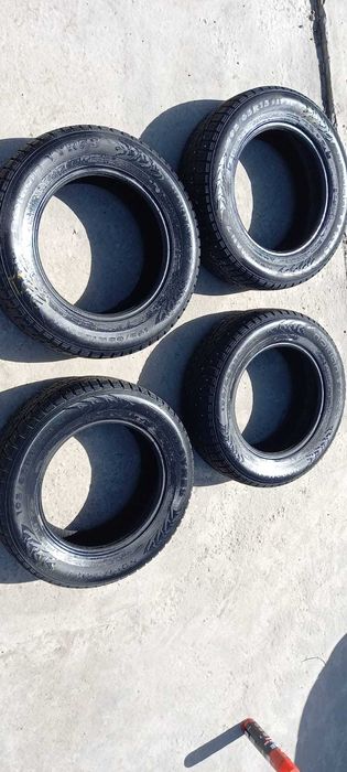 Шины зимние (шипованные)