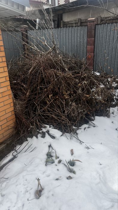 Отын бұтақтар/дерево ветки