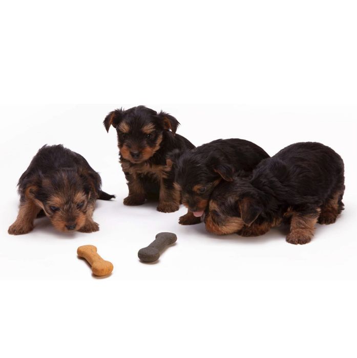 Форографски фонове. Бял фон. Черен фон. зелен фон. фонова система