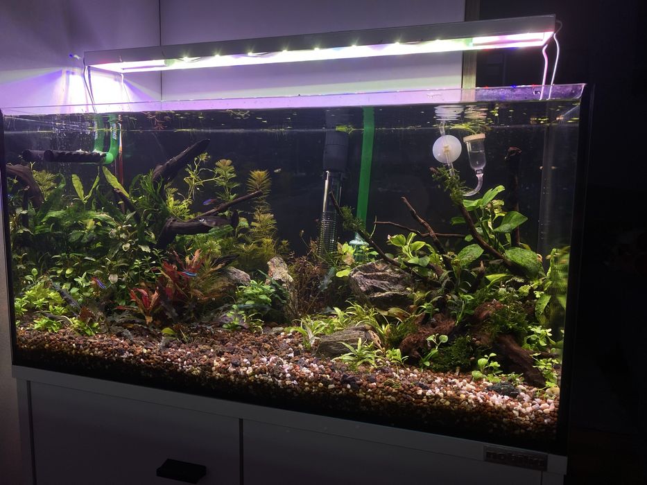 Acvariu 54 litri echipat complet