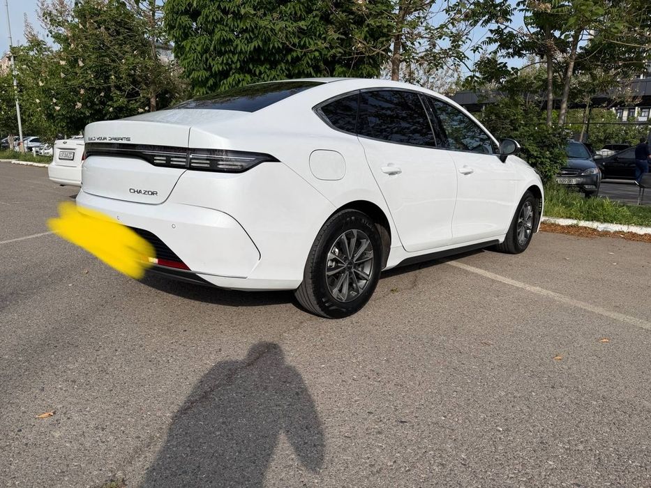 Other Chazor 2024 — 4