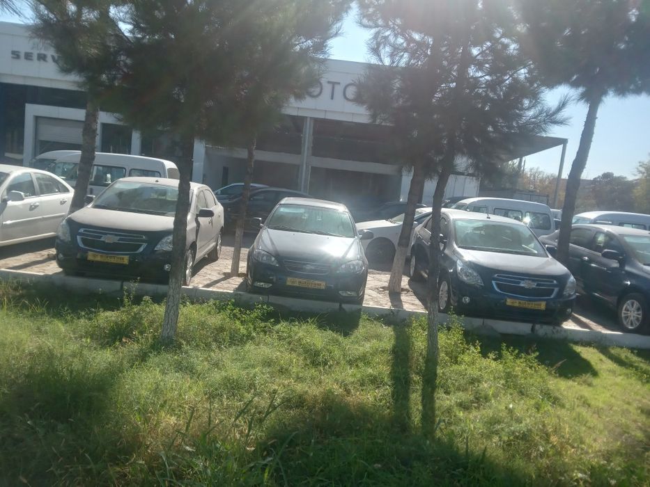 Jentra some kinda 2023 yil 198 mln kreditga
