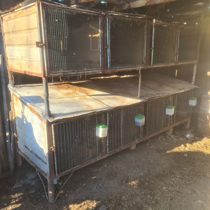 Coteț  iepuri din fier