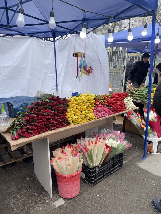 101 тюльпаны Алматы