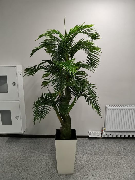 Деревья, пальмы искусственные. Большой выбор.