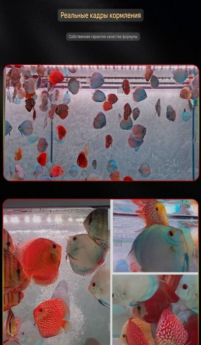Продаётся Дискус корм 1 кг
