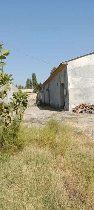 Bozor yaqinida, ko'chmas mulk!